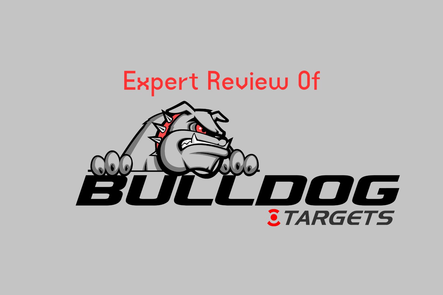Bulldog targets review