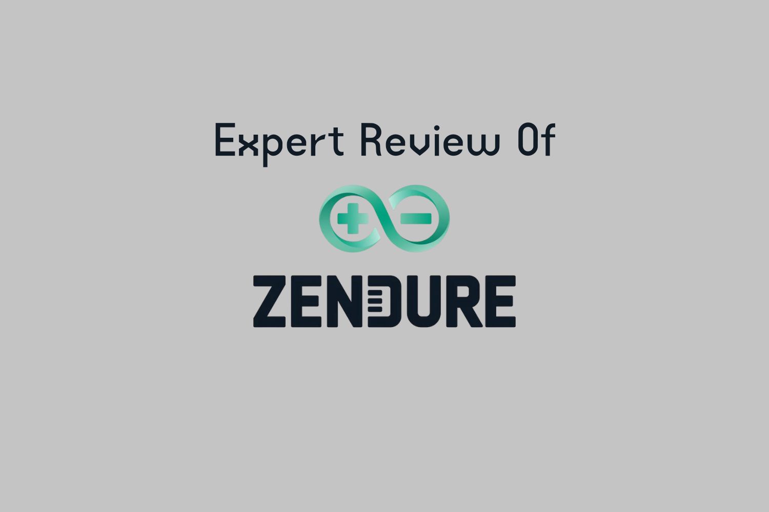 Zendure review