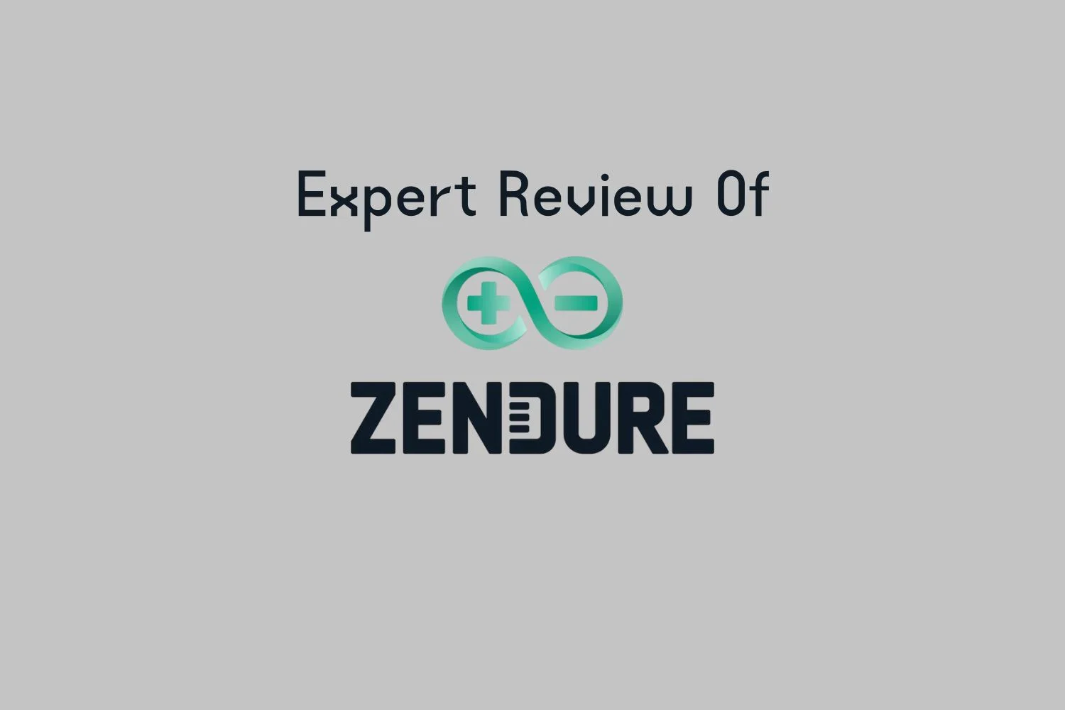 Zendure review